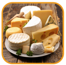Selection of cheeses on a plate