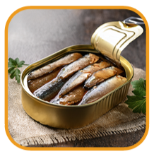 Tin of sardines