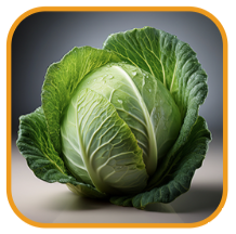 A whole cabbage