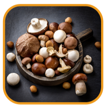 Bowl of mushrooms
